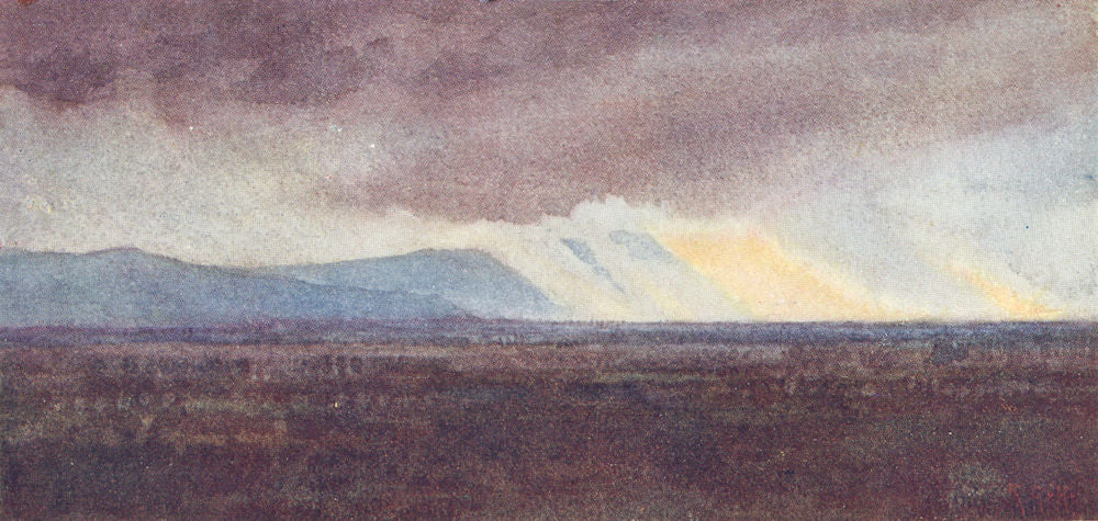 TUSCANY TOSCANA. The Plain of Arno from Bellosguardo, looking West 1905 print